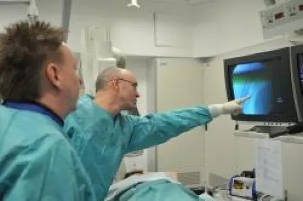Bild: Wenn der Strom zu versiegen droht - Stents stabilisieren das Flussbett zum Herzen
