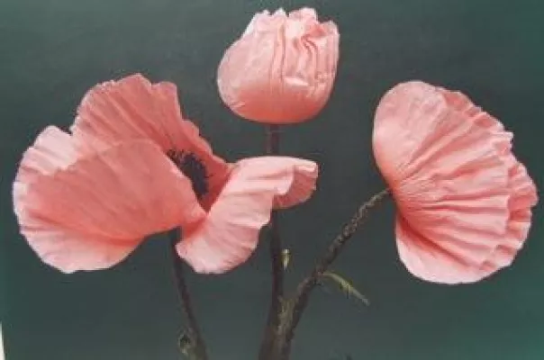 Vernissage "Blütenfest" - inlingua Sprachcenter Kiel Bild: Vernissage "Blütenfest" - inlingua Sprachcenter Kiel