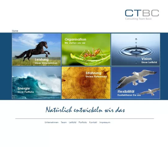 Bild: Das SAP-Entwicklungsunternehmen CTBC startet mit neuem Internetauftritt