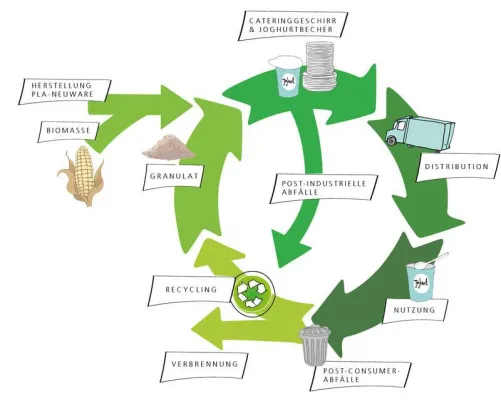 Bild: Wie verhalten sich biobasierte Kunststoffe in etablierten Recyclingsystemen?