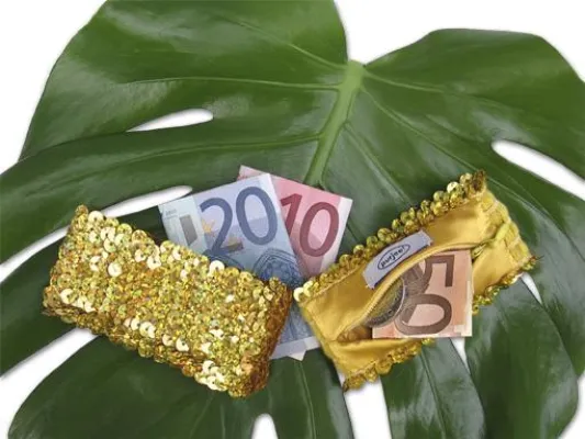 Schmuckarmband mit kleinem Portemonnaie Bild: Schmuckarmband mit kleinem Portemonnaie