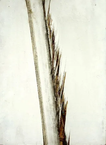 Bild: Mario Reis | Train-Tracks + Paintings