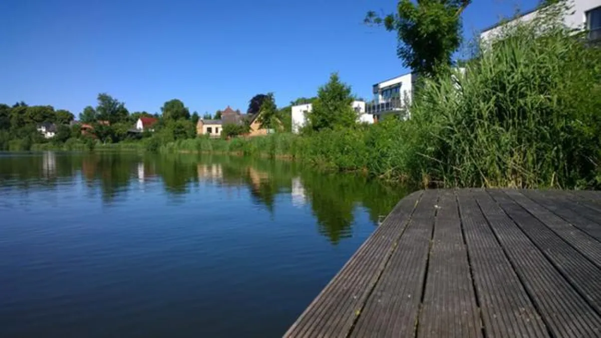 Der Herrenteich in Reinfeld - das Idyll könnte mehr genutzt werden (Foto: sbraun-speck.de)