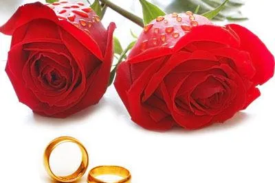 Bild: Hochzeit und was dazu gehört – Trends und Traditionen rund um das Ja-Wort