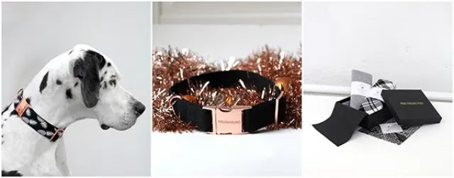 Bild: Hundum glücklich mit Prunkhund!