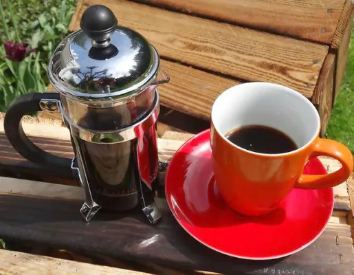 Bild: Optimahl Catering baut Gastronomiekonzept auf Galopprennbahn aus