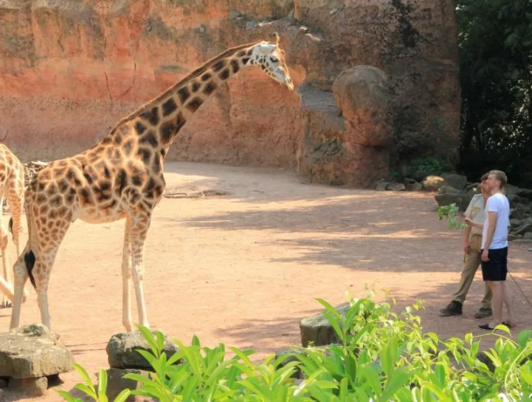 Per Mertesacker mit Patenkind Juji