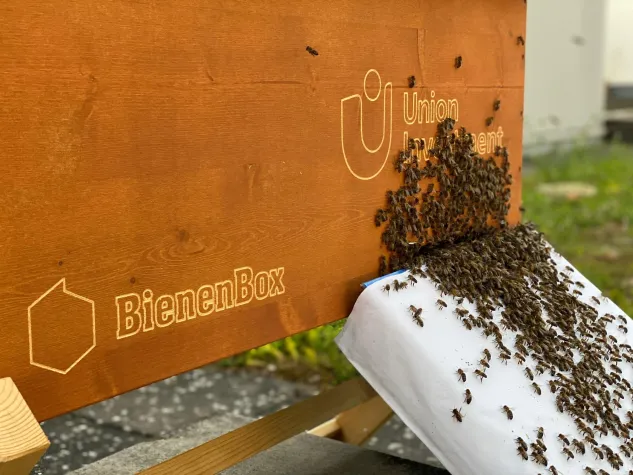Das LAGO brummt: Bienen ziehen aufs Dach des Konstanzer Shopping-Centers Bild: Das LAGO brummt: Bienen ziehen aufs Dach des Konstanzer Shopping-Centers