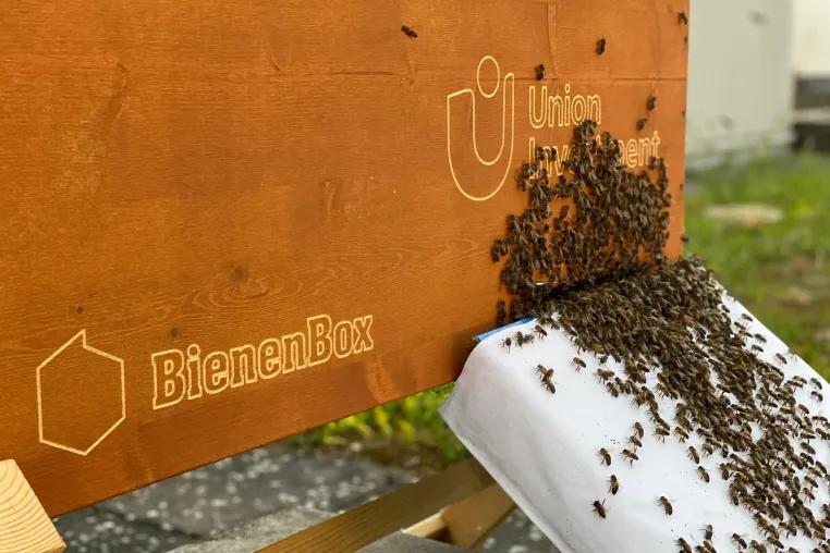 Bild: Das LAGO brummt: Bienen ziehen aufs Dach des Konstanzer Shopping-Centers