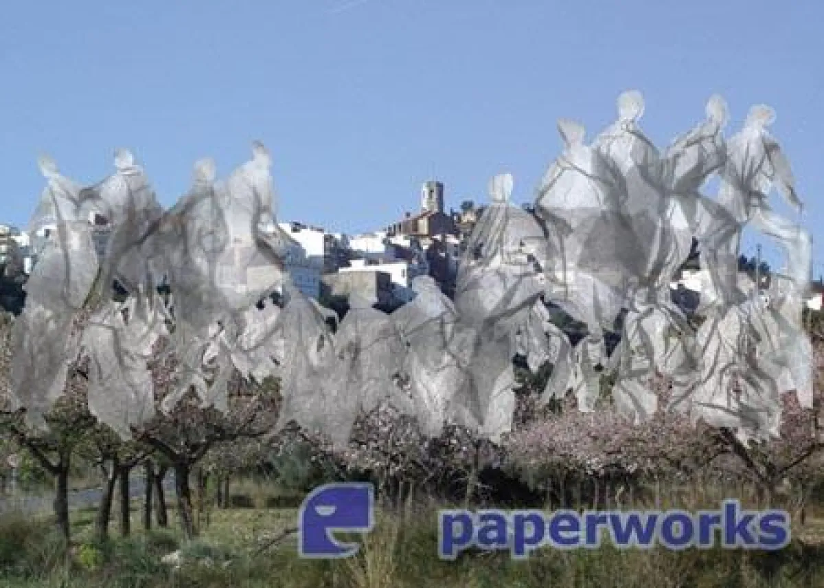 EL-DRAC zeigt paperworks von Jo Pellenz in Cervera del Maestre (Spanien)