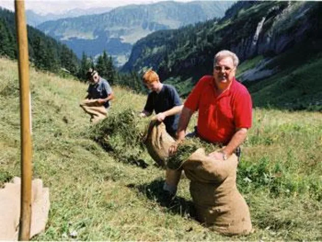 Heuness - Heuernte im Allgäu Bild: Heuness - Heuernte im Allgäu
