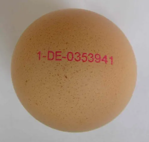 Deklarationspflicht für Eier verschärft! Bild: Deklarationspflicht für Eier verschärft!