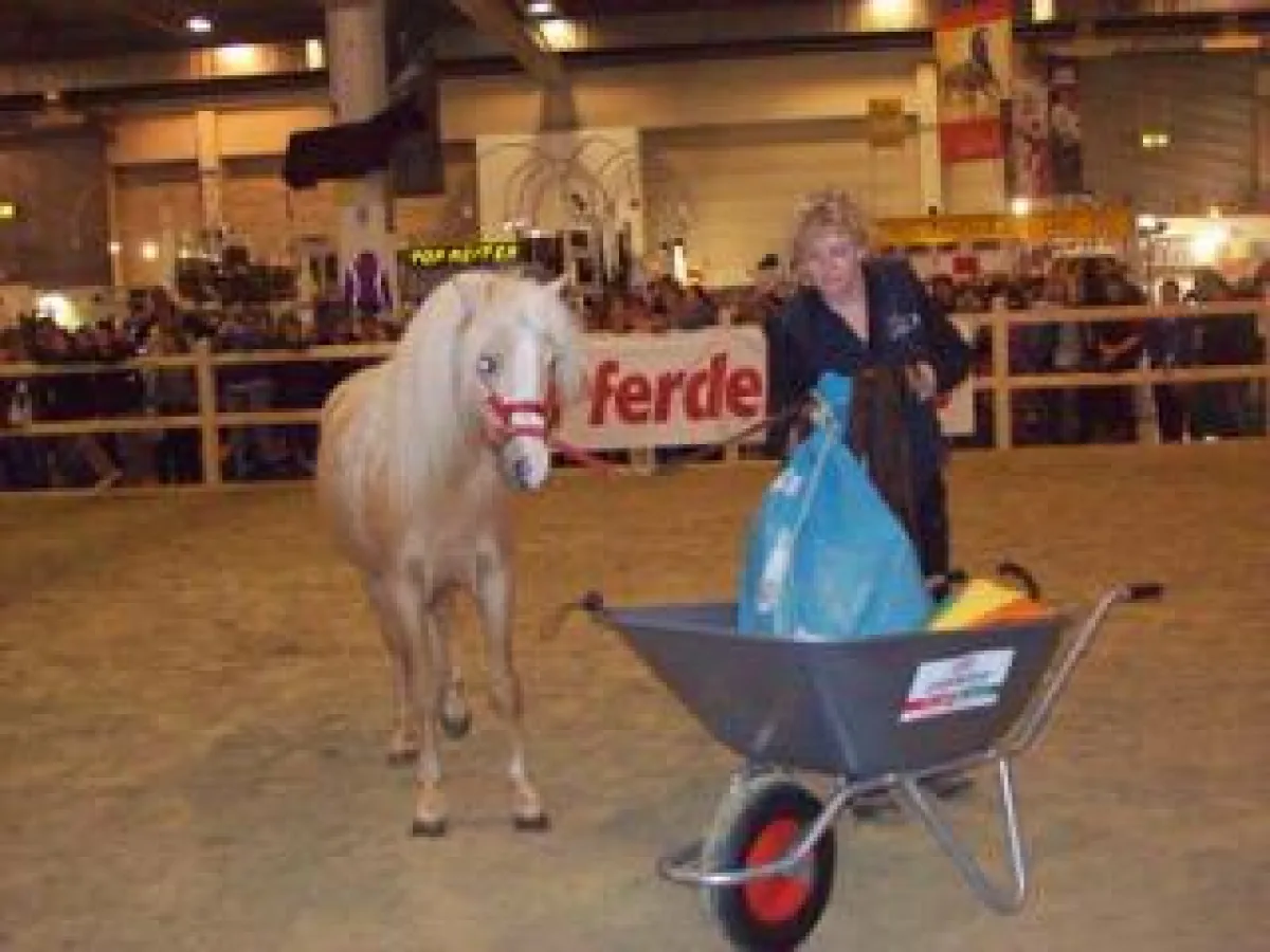 EPA - Traumberuf Pferdeverhaltenstherapeut