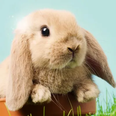 Bild: Last-Minute Geschenkideen zu Ostern - Außergewöhnlich & liebevoll: Erlebnisgutscheine von mydays