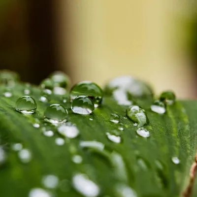 Bild: Clean Skincare: Reizarme Pflege für gesunde Haut