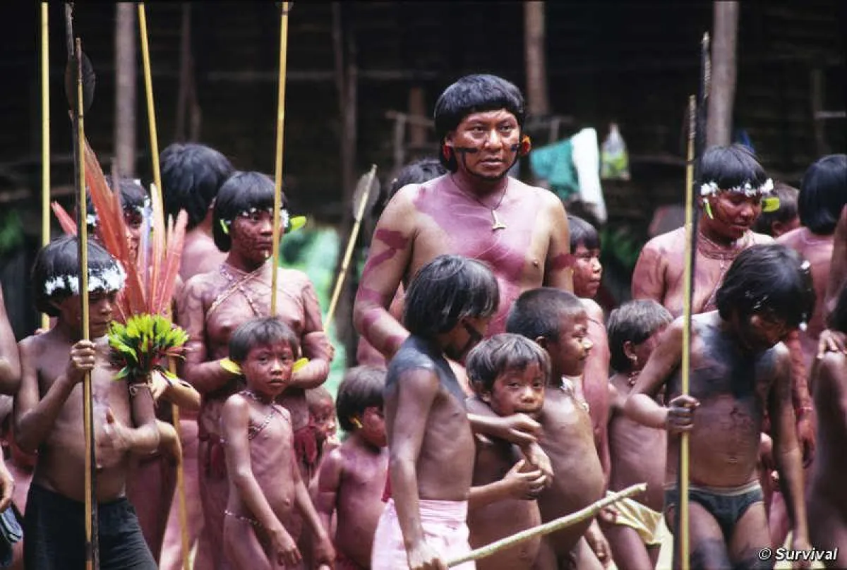 Amazonas Schamane bittet um Unterstützung für die  Yanomami. © Fiona Watson/Survival