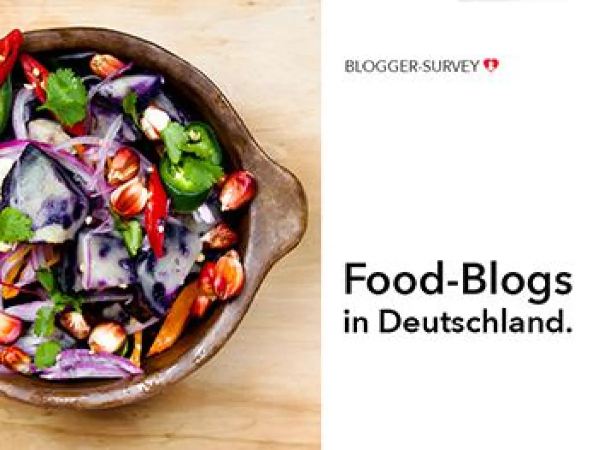 Food Blogger Studie