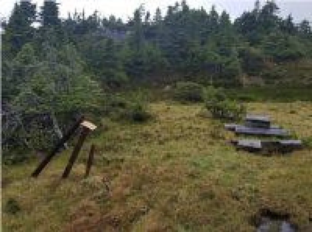 Quelle: Skeena Resources