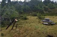 Bild: Skeena Resources - Top-Projekte inmitten des Goldenen Dreiecks