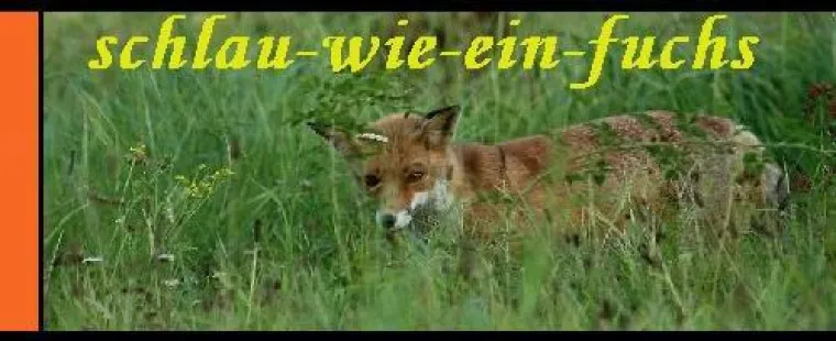 Bild: Virtueller Wühltisch oder „günstig gut gekleidet“ Shoppingclubs im Internet