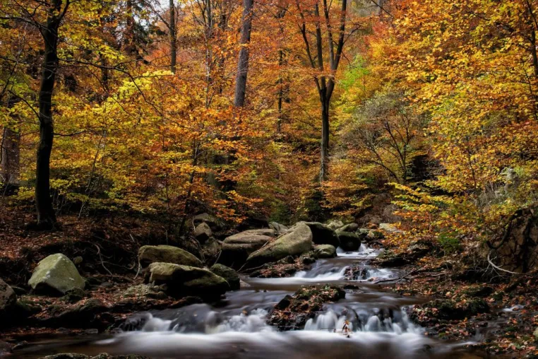 Der Herbst ist die vielleicht wichtigste Zeit für Ihre Online-PR Bild: Der Herbst ist die vielleicht wichtigste Zeit für Ihre Online-PR