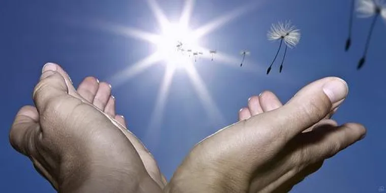 Bild: Zwei Anwälte, drei Meinungen