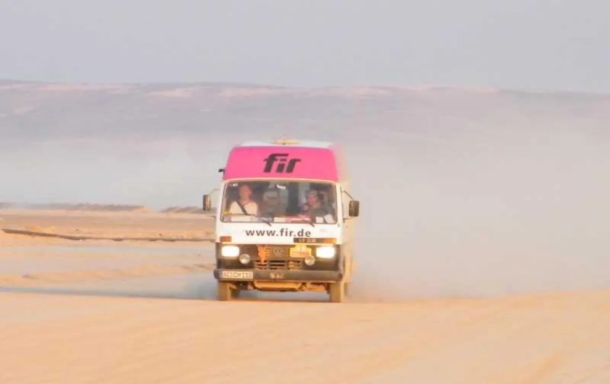 FIR-Team