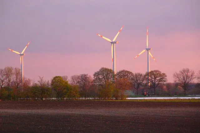 bodenauktionen.de: Das erstes Internet-Auktionshaus für land- und forstwirtschaftliche Flächen und Betriebe Bild: bodenauktionen.de: Das erstes Internet-Auktionshaus für land- und forstwirtschaftliche Flächen und Betriebe