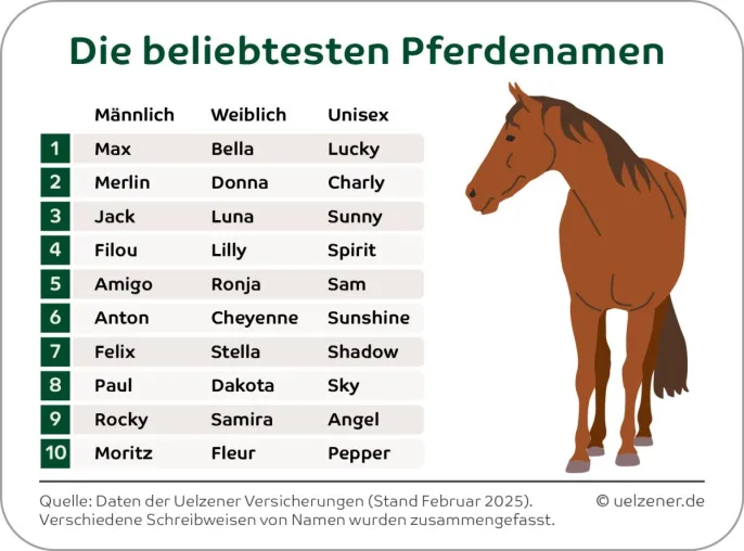 Spirit deutlich vor Fury und Black Beauty: Das sind die beliebtesten Pferdenamen der Deutschen Bild: Spirit deutlich vor Fury und Black Beauty: Das sind die beliebtesten Pferdenamen der Deutschen