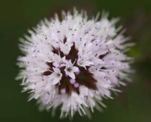 Fotowettbewerb mit tollen Sachpreisen bei Teichbau-Profi.de Bild: Fotowettbewerb mit tollen Sachpreisen bei Teichbau-Profi.de