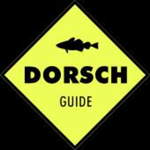 Bild: Dorschangeln lernen ohne Vorkenntnisse!