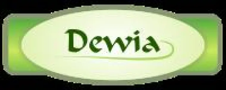 Bild: 1 Jahr dewia.de - Ausblick