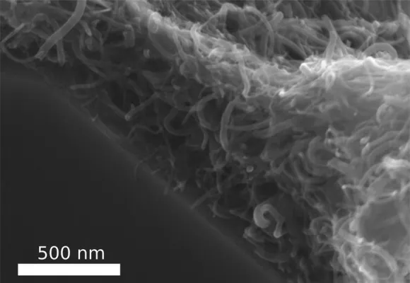 CAU-Forschungsteam entwickelt neues Verbundmaterial aus Kohlenstoffnanoröhren Bild: CAU-Forschungsteam entwickelt neues Verbundmaterial aus Kohlenstoffnanoröhren