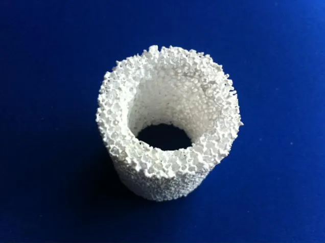 Busse IS Leipzig präsentiert Forschungsprojekt auf der IFAT München Bild: Busse IS Leipzig präsentiert Forschungsprojekt auf der IFAT München