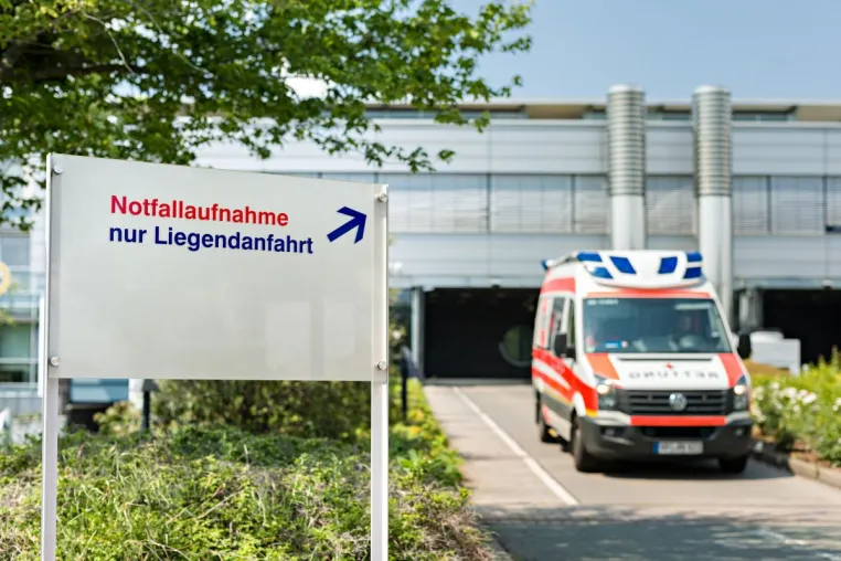 Zurück zur Normalität Bild: Zurück zur Normalität