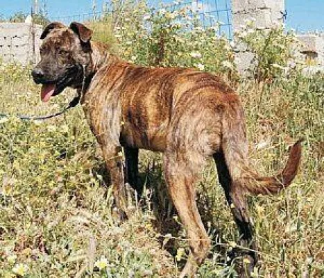 Bild: Amadeus im Raum um Augsburg - aber wo?