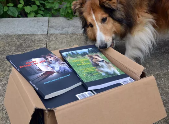 Schreiben Sie kreativ und halten Sie durch Bild: Schreiben Sie kreativ und halten Sie durch