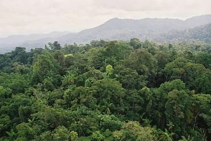 Bild: Gramenz verschönert Wiesbaden und die Welt