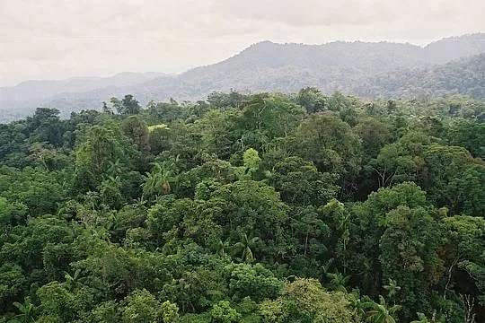 Gramenz verschönert Wiesbaden und die Welt Bild: Gramenz verschönert Wiesbaden und die Welt