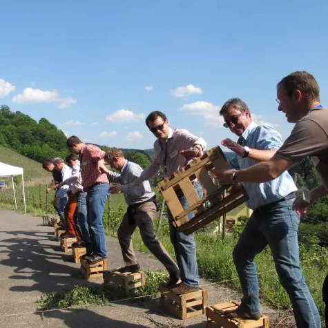 Bild: Teambuilding oder Betriebsausflug im Weinberg 2013