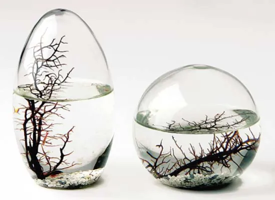 Bild: Ecosphere-Miniaturwelten: Das intelligente Weihnachtsgeschenk