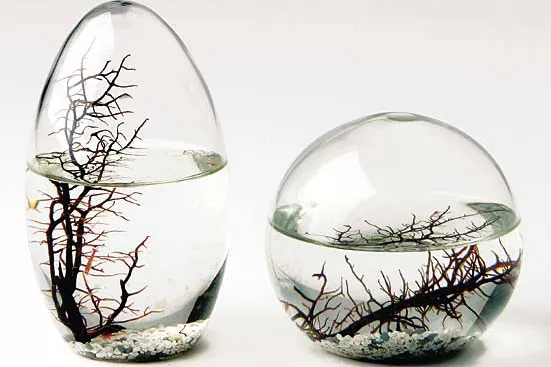 Bild: Ecosphere-Miniaturwelten: Das intelligente Weihnachtsgeschenk
