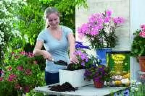 Bild: Vorteile neuartiger, zeitsparender und ökologisch wertvoller Pflanzerde nutzen – die frux TopLine Erde