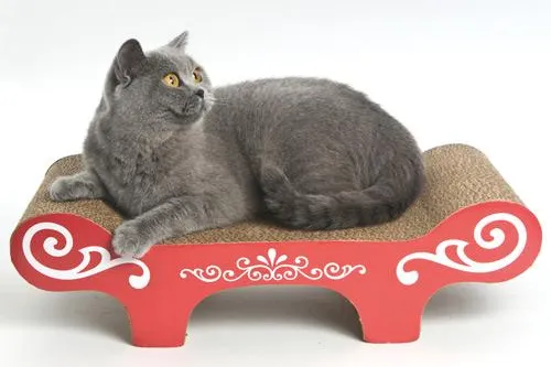 Bild: Katzen lieben Pappe - Moderne Kratzmöbel aus Karton