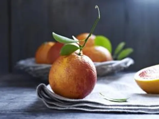 StockFood sponsert Fotografie-Wettbewerb “Pink Lady® Food Photographer of the Year Award 2014” Bild: StockFood sponsert Fotografie-Wettbewerb “Pink Lady® Food Photographer of the Year Award 2014”