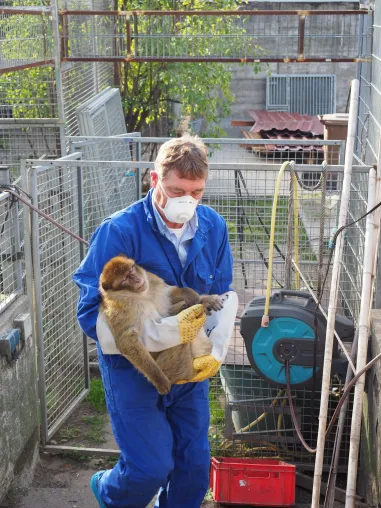 Bild: Zweifelhaftes Zuhause: Exoten aus Zirkus und schlechtem Zoo als Haustiere
