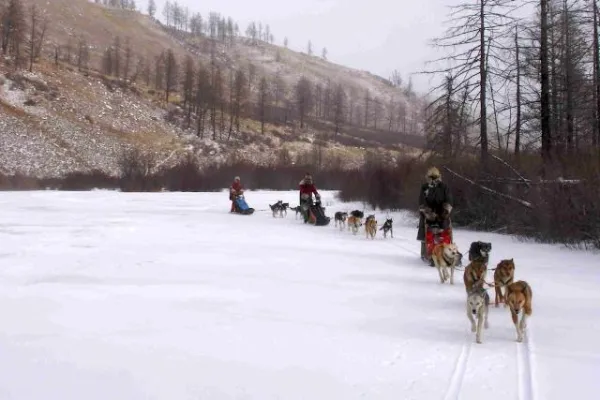 Bild: Hundeschlittenfahrten in der Mongolei