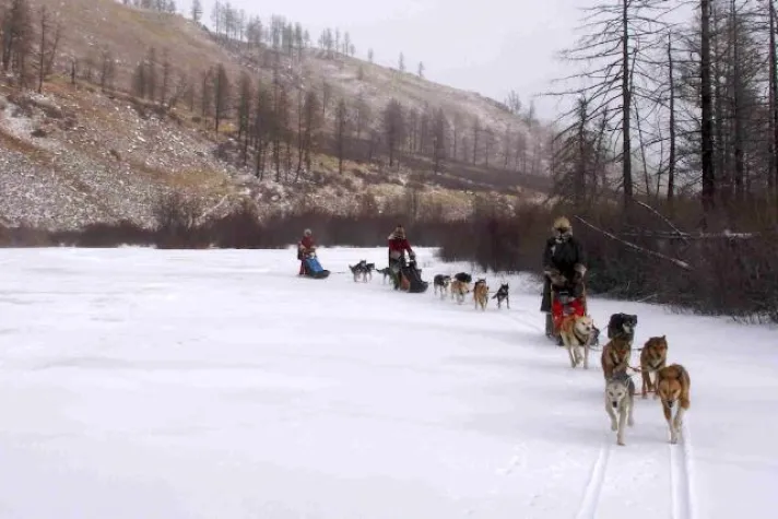 Bild: Hundeschlittenfahrten in der Mongolei