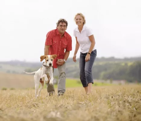 Bild: Die erste Versicherung für Mensch und Hund ist da