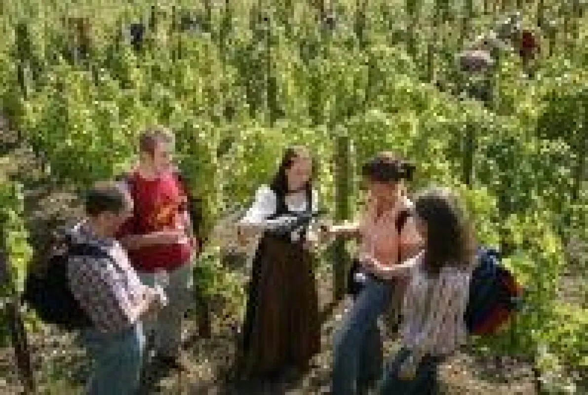 Weinprobe im Weinberg